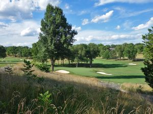 NCR (South) 13th Fescue